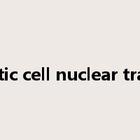 somatic cell nuclear transfer是什么意思