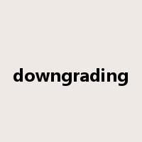 downgrading是什么意思