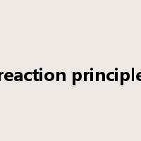reaction principle是什么意思