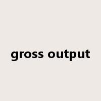 gross output是什么意思