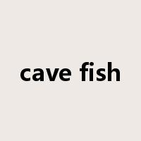 cave fish是什么意思