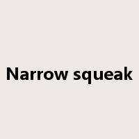 Narrow squeak是什么意思