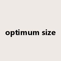optimum size是什么意思