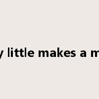 Every little makes a mickle是什么意思