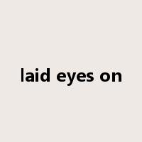 laid eyes on是什么意思