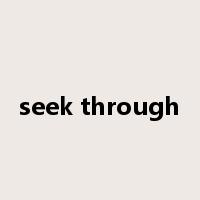 seek through是什么意思
