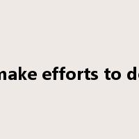 make efforts to do是什么意思