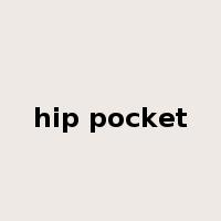 hip pocket是什么意思