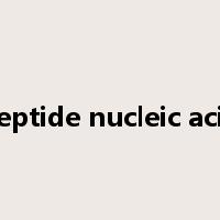 Peptide nucleic acid是什么意思