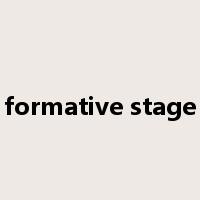 formative stage是什么意思