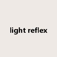 light reflex是什么意思