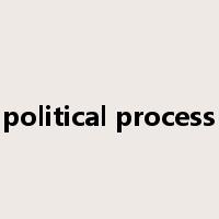 political process是什么意思
