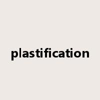 plastification是什么意思