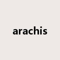 arachis是什么意思