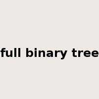 full binary tree是什么意思