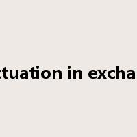 fluctuation in exchange是什么意思