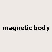 magnetic body是什么意思