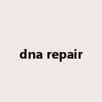 dna repair是什么意思