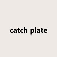 catch plate是什么意思