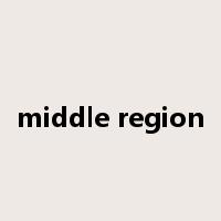 middle region是什么意思