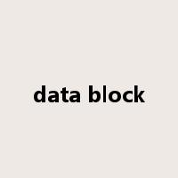data block是什么意思