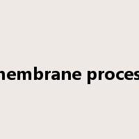 membrane process是什么意思