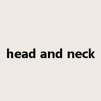 head and neck是什么意思