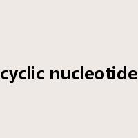 cyclic nucleotide是什么意思