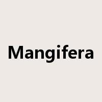 Mangifera是什么意思