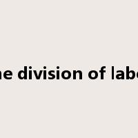 the division of labor是什么意思