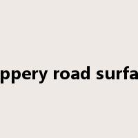 slippery road surface是什么意思
