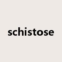 schistose是什么意思