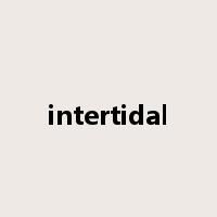 intertidal是什么意思