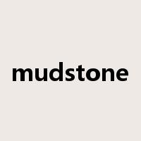 mudstone是什么意思