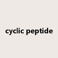 cyclic peptide是什么意思