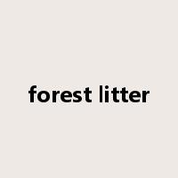 forest litter是什么意思