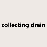 collecting drain是什么意思