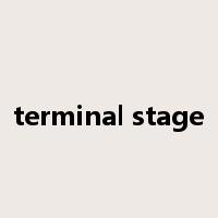 terminal stage是什么意思