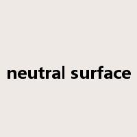 neutral surface是什么意思