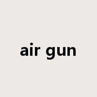 air gun是什么意思