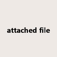 attached file是什么意思