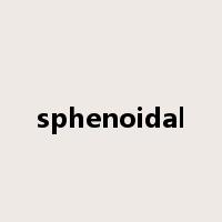 sphenoidal是什么意思