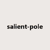 salient-pole是什么意思