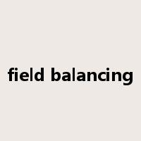 field balancing是什么意思