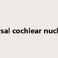 Dorsal cochlear nucleus是什么意思