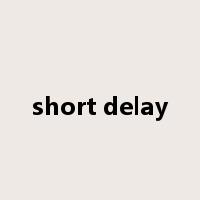 short delay是什么意思