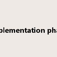 implementation phase是什么意思