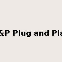 P&P Plug and Play是什么意思