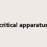 critical apparatus是什么意思