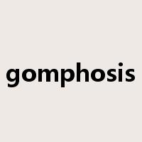 gomphosis是什么意思